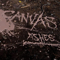 Canvas - Ashes