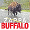 2007 Buffalo (CD 2)