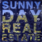 Sunny Day Real Estate - Flatland Spider (Single)