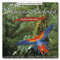 2002 Birds In The Rainforest
