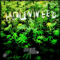 2017 Hollyweed (Single)