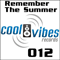 2010 Remember The Summer (Remixes)