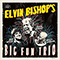 2017 Elvin Bishop's Big Fun Trio