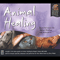 2004 Animal Healing