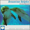 1997 Dreamtime Dolphin