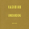 2009 Underdog (Sasha Remix - Promo Single)