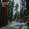 2013 Sequoia, Part 1 (EP)