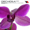 Ronny K - Orchidea (Single)