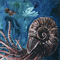 Celophys - Ammonite