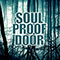 2016 Soul Proof Door