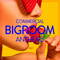 2015 Commercial Bigroom Anthems, Vol. 1