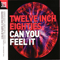 2016 Twelve Inch Eighties: Can You Feel It (CD 3)