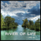2013 River Of Life