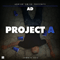 2013 Project A