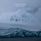 White Bear Polar Tundra - Filter The Noise