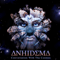 Anhidema - Conversation With Cosmos
