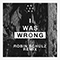 2016 I Was Wrong (Robin Schulz Remix)
