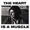 2018 The Heart Is A Muscle (Radio Edit)