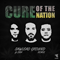 2017 Cure Of The Nation (Sawlead Ground & DBA Remix) [Single]