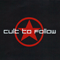 2010 Cult to Follow