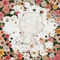 2014 Flowerwall (EP)