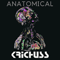 Krichuss - Anatomical (EP)