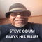 Odum, Steve - Steve Odum Plays His Blues