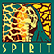 2021 Spirit (Single)