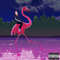 2018 Flamingo