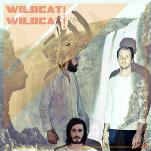 Wildcat! Wildcat!