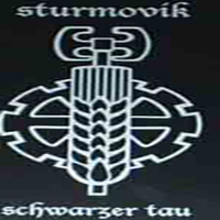 Sturmovik - Schwarzer Tau