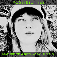 Nature Of Wires - Possibilities (ft. Machina X)