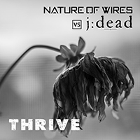 Nature Of Wires - Thrive 