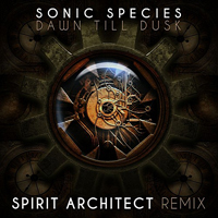Spirit Architect - Dawn Till Dusk (Spirit Architect Remix) (Single)