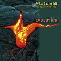 MSM Schmidt - Evolution