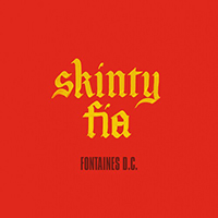 Fontaines D.C. - Skinty Fia (edit)