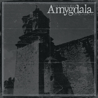 Amygdala - Our Voices Will Soar Forever