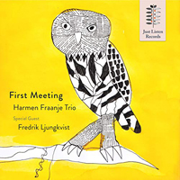 Fraanje, Harmen  - Harmen Fraanje Trio - First Meeting