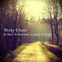 Stray Ghost - So Much To Remember, So Much To Forget (Cd 1)