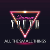 Siamese Youth - All The Small Things (Synthwave Cover)