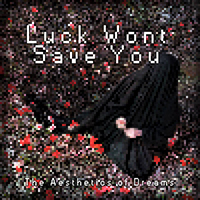 Luck Wont Save You - A Beauty Never Before Seen (8 Bit Mix) (Single)