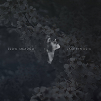 Slow Meadow - Lachrymosia / Some Familiar... (Single)