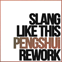 PENGSHUi - Slang Like This (Rework) (Single)