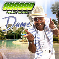 Shaggy - Dame (Single) 