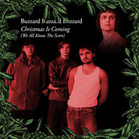 Buzzard Buzzard Buzzard - Christmas Is Coming (We All Know the Score)