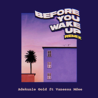 Adekunle Gold - Before You Wake Up (Remix, feat. Vanessa Mdee) (Single)