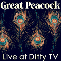 Great Peacock - Live At Dittytv