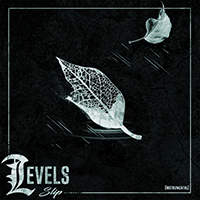 Levels - Slip (Instrumental) (Single)