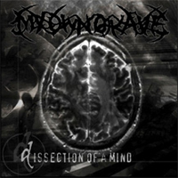My Own Grave - Dissection Of A Mind