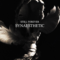 Still Forever - Synaesthetic